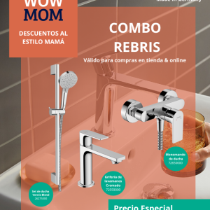 Set de Accesorios Hansgrohe - Combo Rebris